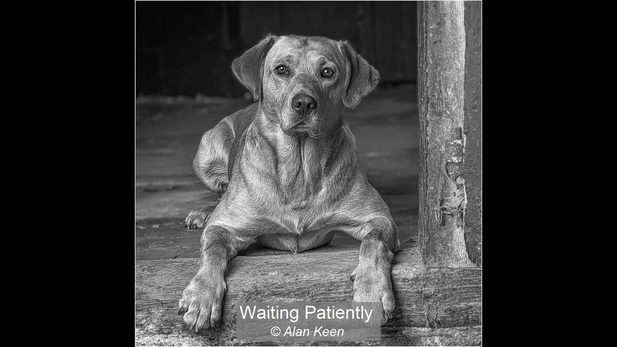 22_Waiting Patiently_Alan Keen